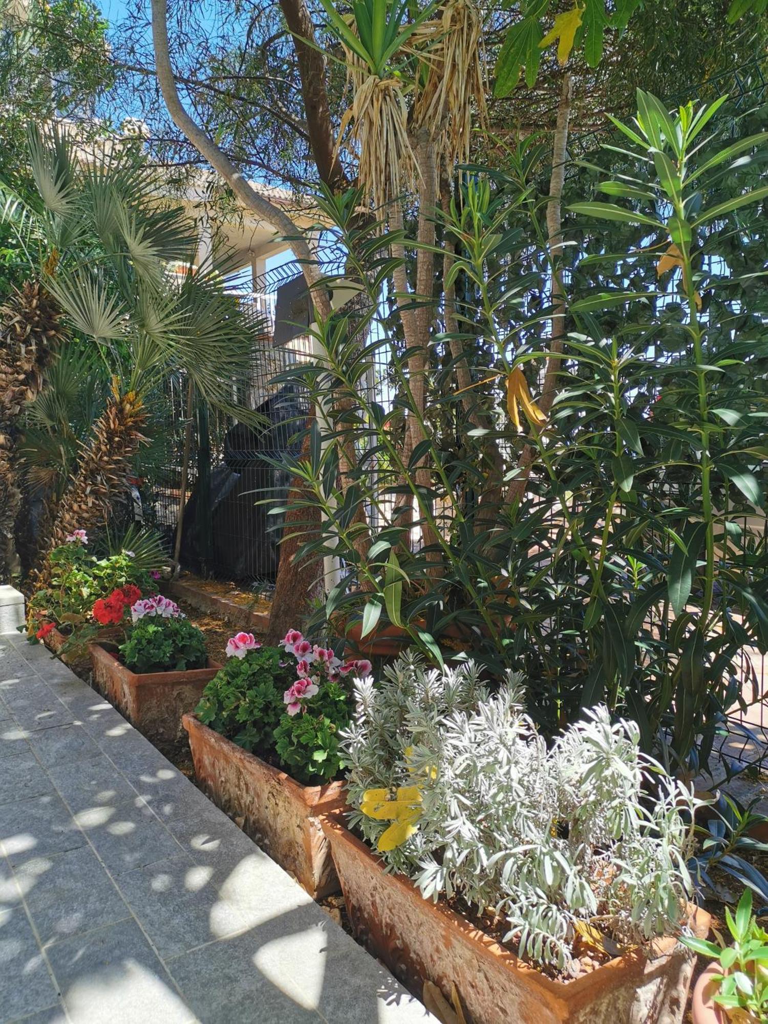 Panorama Apartment Addaura Palermo Exteriér fotografie
